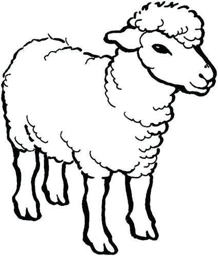 test wlh image