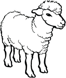 test wlh image