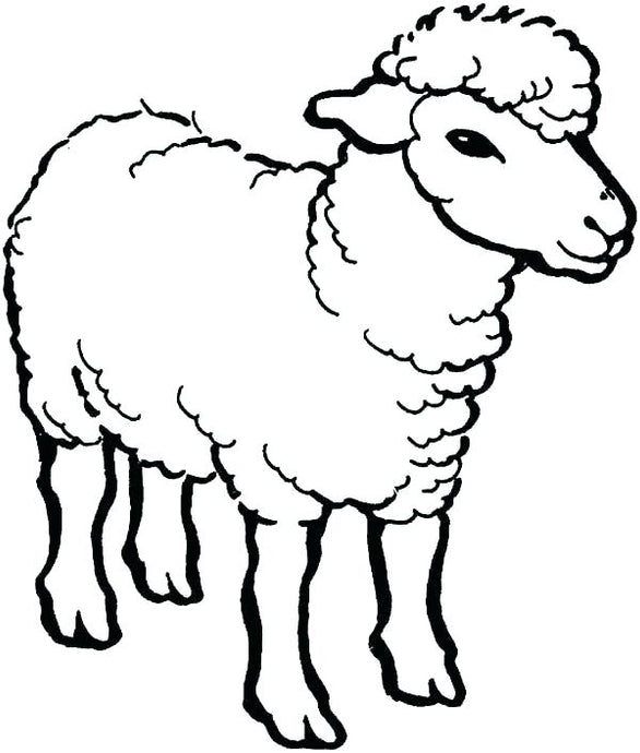 test wlh image