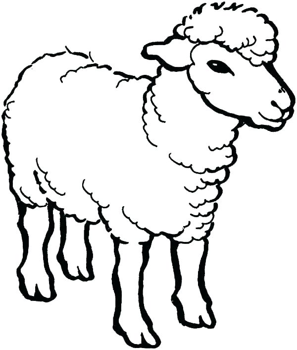 test wlh image